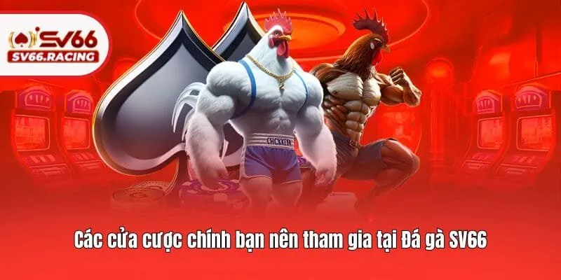 Đá Gà 3 Các cửa cược chính bạn nên tham gia tại Đá gà SV66