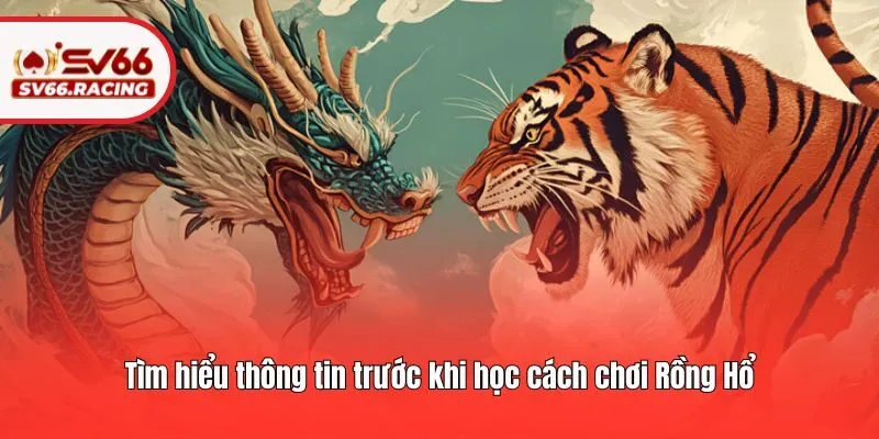 Cách Chơi Rồng Hổ SV66 - Hướng Dẫn Từ Cơ Bản Đến Nâng Cao 2 Tìm hiểu thông tin trước khi học cách chơi Rồng Hổ