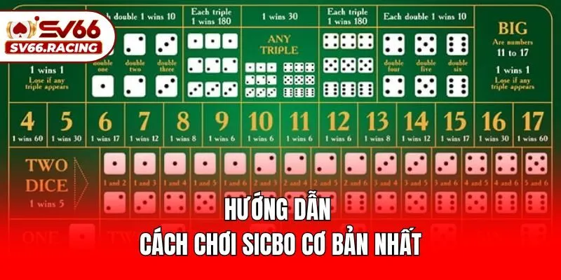 Hướng Dẫn Cách Chơi Sicbo Chuẩn Cao Thủ Tại SV66 3 Hướng dẫn cách chơi Sicbo cơ bản nhất